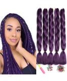 Showjarlly Jumbo Braid Art Hair Extensions - 24 Ombre Kanekalon Braid for Crochet & Box Braids (5 Pack) - Violet #61cm - Buy Online on GoSupps.com