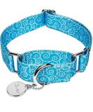 Dazae Martingale Dog Collar - Sky Blue XS (20.3-30.5 cm) | Adjustable Hard-Wearing Safety Training Collar for Small Dogs | Auspicious Cloud - Buy Online on GoSupps.com