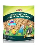 Living World Spray Millet 17.6 Oz - Nutritious Treat for Birds - Buy Online on GoSupps.com