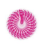 Pink 180 Pairs (360 Feet) Spray Tan Feet Pads | Sunless Tanning Airbrush Sole Protector - Buy Online on GoSupps.com