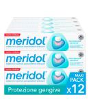 Meridol Toothpaste Gum Protection - 12 Packs of 75ml | Fight Bleeding & Gum Infections | Double-Acting Formula | Antibacterial Effect | International Shipping - Buy Online on GoSupps.com