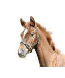 Kerbl Eco Leather Foal Halter - Black 120 Pieces Pack | International Shipping Available - Buy Online on GoSupps.com