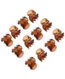 Buy TRIXES 12 Pieces Stylish Brown Mini Hair Clips - Hair Claws Pins & Clamps - International Shipping Available - Buy Online on GoSupps.com
