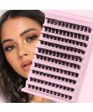 Riya Lash Clusters 120Pcs DIY Eyelash Extenisons Natural Look Wispy Clusters Lashes 8-16MM D Curl Individual Lashes DIY at Home Wispy Fluffy Lash Extensions Reusable Individuals DIY at Home (04) RY-04 - Buy Online on GoSupps.com