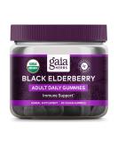 Gaia Herbs Everyday Elderberry  Immune Support Gummies 80 Vegan Gummies - Buy Online on GoSupps.com