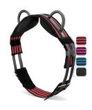 Esposita Riding Strap with Leather Handles - Versatile Lunging & Vaulting Belt for Kids & Riders - Shetty Red-Black - Buy Online on GoSupps.com