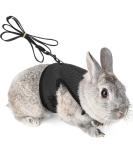 Adjustable Soft Rabbit Dishes & Elastic Leash for Small Animals | XL Black Pet Dishes & Walking Leash for Bunnies & Cats - Buy Online on GoSupps.com