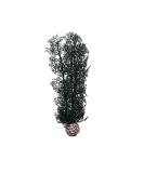 Biorb 46097 horn coral m black - elegant natural coral made of plastic |Aquaria decoration |Easy cleaning |Suitable for fresh water and sea water medium black - Buy Online on GoSupps.com