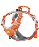 ThinkPet No-Pull Dog Harness & Leash Set - Breathable Adjustable Reflective Safety Harness for Small Medium & Large Dogs - XL (1 Pack) - Buy Online on GoSupps.com