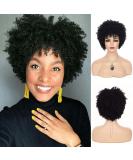 Sallcks Short Black Kinky Afro Wig for Black Women Short Curly Afro Wigs Natural Synthetic Curly Cosplay Costume Wigs with Wig Cap - Buy Online on GoSupps.com