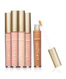 ELLEN TRACY Nude Lip Gloss Collection - 5 Pc. Set of Natural Lip Colors - Buy Online on GoSupps.com