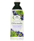 L Angelica Officinalis Shampoo - Sebum Regulating with Nettle & Myrtle 250ml | Italian Import for Healthy Hair - Buy Online on GoSupps.com