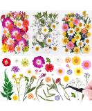 Dried Flowers and Leaves Kit for Resin Molds - 120 PCS with Tweezers for DIY Art, Crafts, Candle & Jewelry Making, Scrapbooking, Nail Art - Natural Pressed Floral Embellishments - Buy Online on GoSupps.com