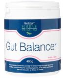 Protexin Equine Premium Gut Balancer 400 g 400g Single - Buy Online on GoSupps.com