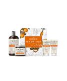 Curlsmith Transition Kit - Vegan Haircare for Dry Wavy Curly or Coily Hair - 12oz, 8oz, 2oz - Buy Online on GoSupps.com