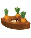 Rosewood 19260 Carrot Toy 'n' Treat Holder for Small Animals - Transparent Single - Buy Online on GoSupps.com