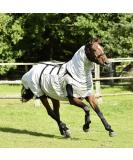 Busse Eczema Blanket - Strong Anthracite 105 cm | International Shipping Available - Buy Online on GoSupps.com