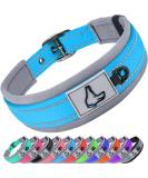 Joytale Baby Blue Dog Collar - Softly Padded Neoprene Nylon Reflective Collar for Small Dogs | 1 Pack - Buy Online on GoSupps.com