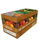Knorr 100% Carrot & Coriander Soup 10kg - Pack of 4 - Buy Online on GoSupps.com