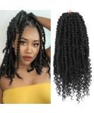 Pretwisted Passion Twist Crochet Hair 12 Inch - 9 Packs, Soft Pre-looped Short Black Curly Braids for Women - 1B (Pack of 9) - Buy Online on GoSupps.com