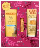 Burts Bees Honey Pot Holiday Gift Kit | Best Gifts for Honey Lovers | International Shipping Available - Buy Online on GoSupps.com