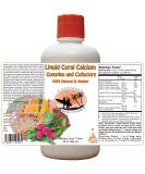 CAOH Liquid Coral Calcium Complex 32 oz with Cofactors - Top Quality Supplement - Buy Online on GoSupps.com