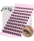 ALICROWN Wispy Cluster Lash Extension Kit - 120Pcs | DIY Eyelash Extensions 8-16mm | Fluffy & Natural Individual Lashes Cluster DIY at Home - Buy Online on GoSupps.com