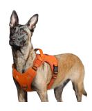 Rabbitgoo Large Dog Harness - Durable Adjustable Tactical Harness with Handles for Hiking Anti-Train Design Orange (1 Pack) - Buy Online on GoSupps.com