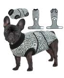 Kuoser Dog Body Suit for Post-Surgery Care | Anti-Lick & Breathable Design for Male & Female Dogs | E-Collar Alternative in Blue - Buy Online on GoSupps.com