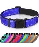 Shop Joytale Reflective Dog Collar for Large & XL Dogs - Royal Blue (Pack of 1) | Durable & Stylish - Buy Online on GoSupps.com