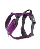 DOG Copenhagen Dog Harness V2 Comfort Walk Pro - Purple Passion XS | International Shipping Available - Buy Online on GoSupps.com