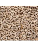 Superpet Premium Sunflower Hearts For Wild Birds (5KG) 5 kg (Pack of 1) - Buy Online on GoSupps.com