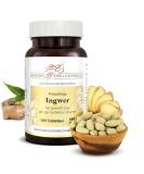 Buy Premium Ginger Tablets 450mg - 105 Vegan Tablets from Austria | Pure Zingiber Officinale | No Additives Herbal Supplement - Buy Online on GoSupps.com