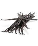 Slofoodgroup Gourmet Vanilla Beans - Grade A Uganda Bourbon Vanilla - Ideal for Cooking, Baking, and Extracts - 10 Count Pack - Buy Online on GoSupps.com