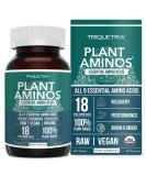Plant Aminos Organic Essential Amino Acids (EAAs) & BCAA - 100% Plant-Based Raw, Vegan - All 9 Essential Amino Acids with 18 Total Amino Acids (360 Tablets) - Buy Online on GoSupps.com
