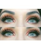 Buy Natural Gray Contact Lenses - Novelry Jasmine Gray - Silicone Comfort - -6.50 Diopters - 1 Pair with Container - Global Shipping Available - Buy Online on GoSupps.com