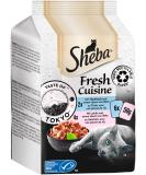 Buy Sheba Fresh Cuisine Taste of Tokyo - Premium Tuna & Salmon Wet Cat Food - 6 x 50g Pouches - MSC Certified Quality - Buy Online on GoSupps.com