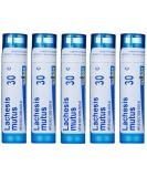 Boiron Lachesis Mutus 30C - Homeopathic Remedy (Approx 80 Pellets) - Buy Online on GoSupps.com