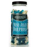 Berrymans Sweet Shop Mini Jelly Dolphins Retro Gummy Sweets Gift Jar - Classic Traditional Taste - Buy Online on GoSupps.com