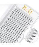 Buy Eyeline Fan 10D-D 07-Mix10-14 - 0.07mm Volume Eyelash Extensions - C & D Curl - International Shipping Available - Buy Online on GoSupps.com