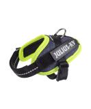 IDC Powerharness 3XS/Baby 1 - Neon Edge Jeans for Stylish Kids | International Shipping Available - Buy Online on GoSupps.com