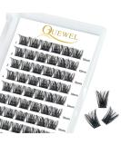 Buy Quewel Individual Eyelash Cluster Lashes - D Curl 10mm (72 Sticks) for DIY Extensions | Honey 01-D10mm - International Shipping Available - Buy Online on GoSupps.com