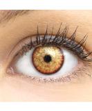 Buy Ibiza Brown Colored Contact Lenses - Monthly Soft Hydrogel 0.0 Diopters 2 Pieces + Lens Container - Natural Colors Series - Buy Online on GoSupps.com