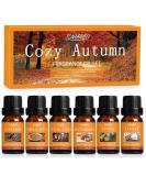 Buy SALUBRITO Fall Fragrance Oils Set - Autumn Essential Oils for Diffuser & Candle Making | Cinnamon Pumpkin Spice Vanilla & More | 6x10ml Aromatherapy Gift - Buy Online on GoSupps.com