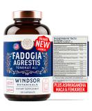 Fadogia Agrestis & Tongkat Ali Supplement - 600mg Fadogia 500mg Longjack for Men | Energy Stamina & Vitality - 120 Capsules - Buy Online on GoSupps.com