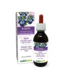 Naturalma Bilberry or European Blueberry (Vaccinium myrtillus) Fruit Alcohol-Free Tincture 4 fl oz Liquid Extract in Drops | Herbal Supplement | Vegan | Product of Italy Alcohol-free 4 Fl Oz - Buy Online on GoSupps.com