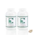Canimove Motion Maxi Joint Tablets for Large Dogs | 200 Tablets with MSM Hyaluronic Acid & Green Lipped Mussel | Osteoarthritis & Ligament Support - Buy Online on GoSupps.com