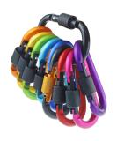 10-Pack Screw Carabiner Keychain Hooks for Camping Fishing Hiking & Travel - Durable Outdoor Gear - Buy Online on GoSupps.com