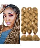 Tess Braids Extensions - 60 cm Jumbo Kanecalon Hair Braids (Honey Blonde) | 100g Bundle for Box Braids - Buy Online on GoSupps.com