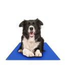 Chillz Dog Cooling Mat - Pressure Activated Gel Pad for Dogs & Cats - Non-Toxic, No Water Needed - Ideal for Home, Travel, Crates - Large Blue - Buy Online on GoSupps.com